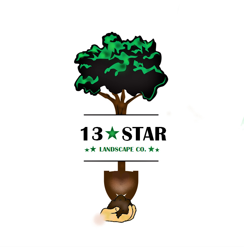 Avatar for 13 Star Landscape